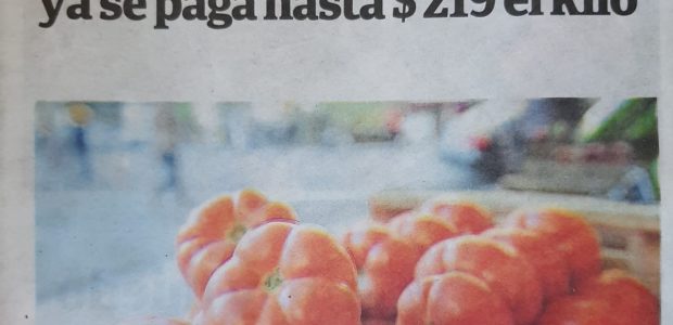 Nota: Diario Clarín 7/10/20     “Está muy caro”. No es una reflexión de quien compra, sino una advertencia del verdulero. Antes de avisar que un kilo de tomates redondos cuesta 150 pesos ahora […]