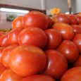 Nota: Diario popular 13/1/22 A este precio está el tomate: el kilo hasta $ 350 Un relevamiento efectuado por la entidad Consumidores Libres da cuenta que se disparó el precio […]